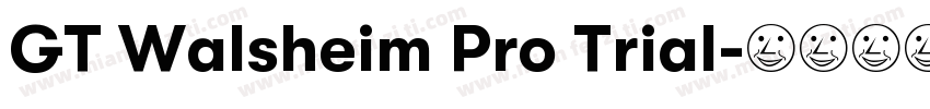 GT Walsheim Pro Trial字体转换